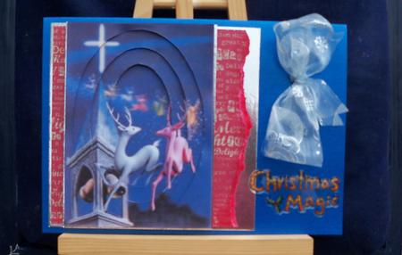 The Reindeer Are Flying! by Pauline Worthington