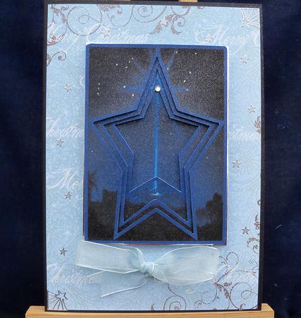 Star of Bethlehem- by Pauline Worthington