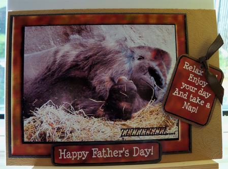 Gorilla Nap by Pauline Worthington
