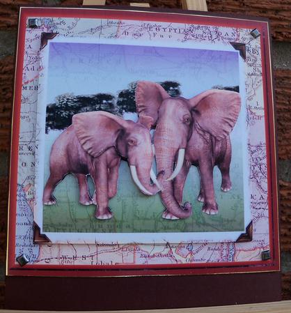 Elephants Step by Step Cards by Pauline Worthington