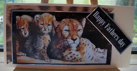 Animals of the Night by Pauline Worthington