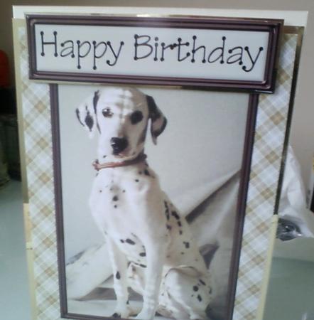 It's a Dogs Life! 3 Quick Card by Pearl North