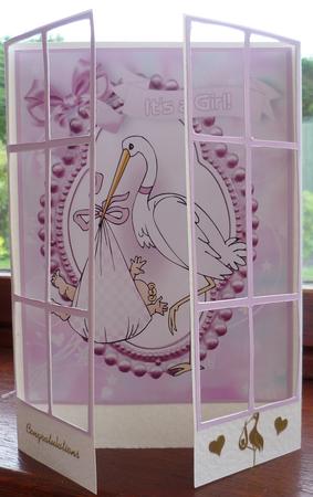 Special Delivery, Sweet Baby Girl French Gatefold by Pearl North