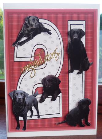 Black Labrador 21st Birthday Card by Pearl North