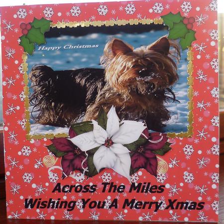 Across the Miles Poinsettia Photocard by Pearl North