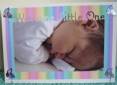 Welcome Little One Toppers by Pearl North