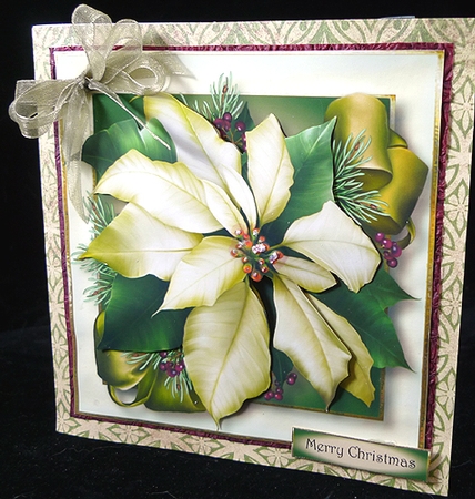 Ivory Poinsettia 8x8  by Peggy Stogdill