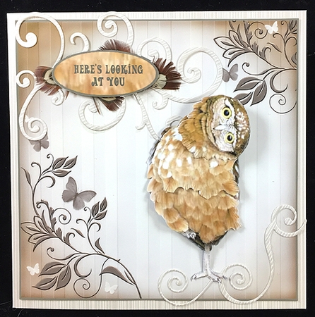 HERES LOOKING AT YOU OWL CARD  by Peggy Stogdill