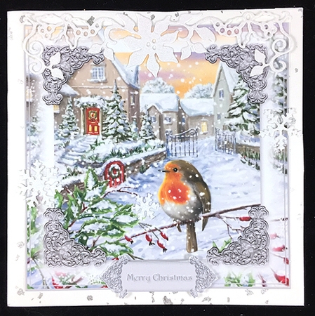 Robin Christmas 6 by Peggy Stogdill