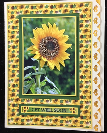 Lovely Sunflower Quick Card 5 X 7 Topper by Peggy Stogdill