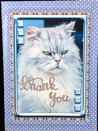  JJ LOVE MY CAT 14 5X7 by Peggy Stogdill