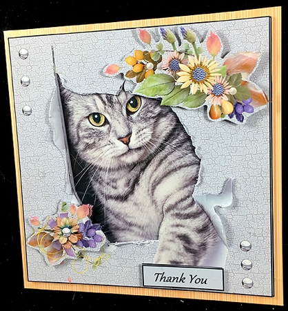 Cats are Purrfect by Peggy Stogdill