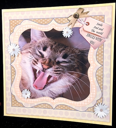 SMILE AND THE WORLD SMILES WITH YOU GET WELL by Peggy Stogdill