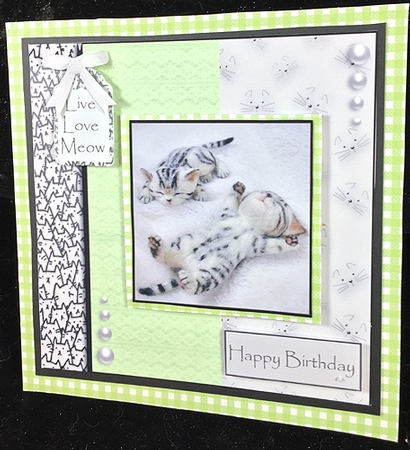 cats leave paw prints on your heart  by Peggy Stogdill