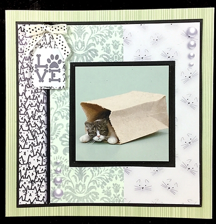 cats leave paw prints on your heart  by Peggy Stogdill