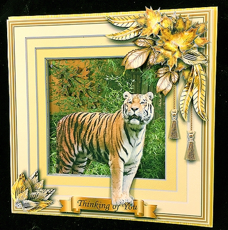 Animals Stepping Out - Grrr by Peggy Stogdill