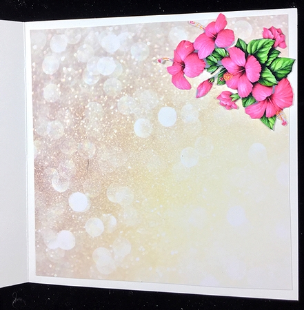 Misty Morning - Hibiscus by Peggy Stogdill