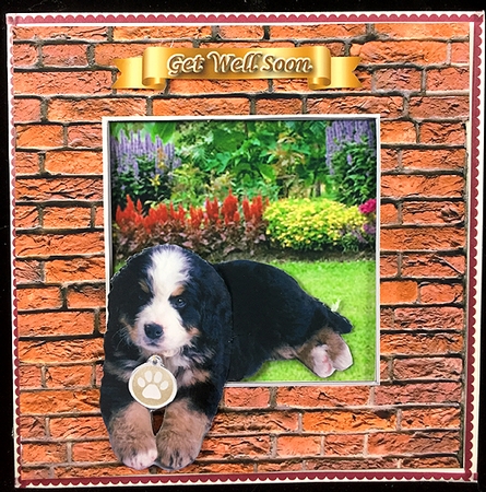 Stepping Out - More Dogs 14 by Peggy Stogdill