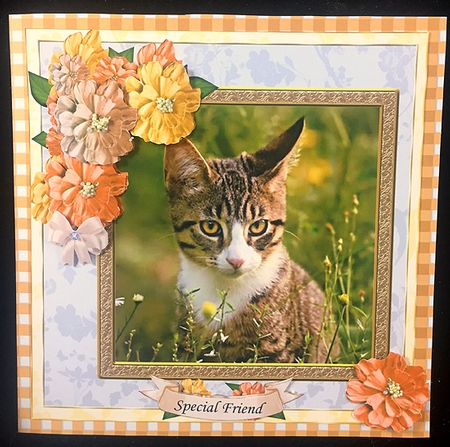 AUTUMN TABBY MULTI SENTIMENT by Peggy Stogdill