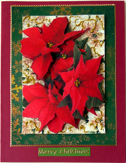 Poinsettia, in Green Frame by Peggy Stogdill