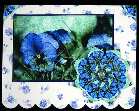Pansies, Blue by Peggy Stogdill