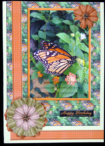 Monarch Butterfly Card Front by Peggy Stogdill