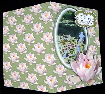 Pink Water Lily by Peggy Stogdill
