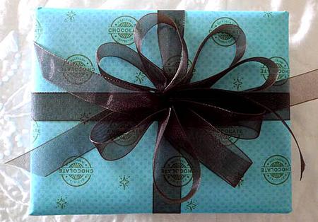 Official Chocolate Inspector on Aqua by Peggy Stogdill