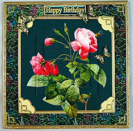 Pink Redoute Rose Specimen by Peggy Stogdill