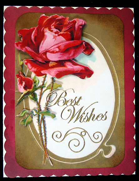 Red Rose Quick Card by Peggy Stogdill