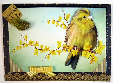 Little Bird by Peggy Stogdill
