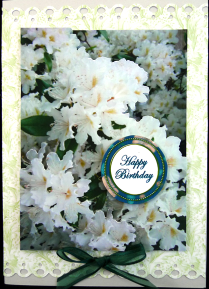 Black Flora Colour Birthday Mix Sentiment Round Toppers by Peggy Stogdill