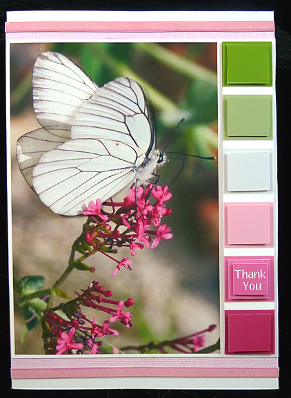 Color Swatch Butterfly by Peggy Stogdill