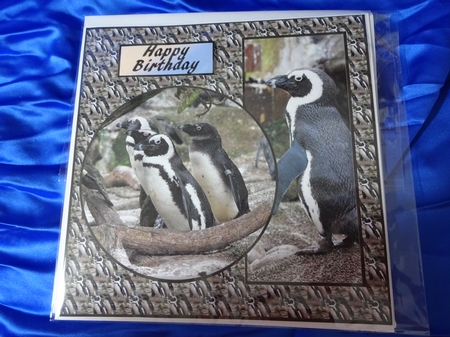 Penguins Birthday v2 by Penni Currie