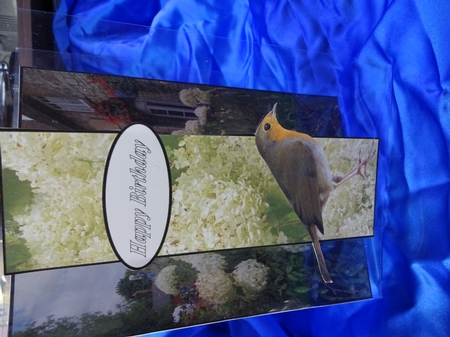 Robin redbreast by Penni Currie