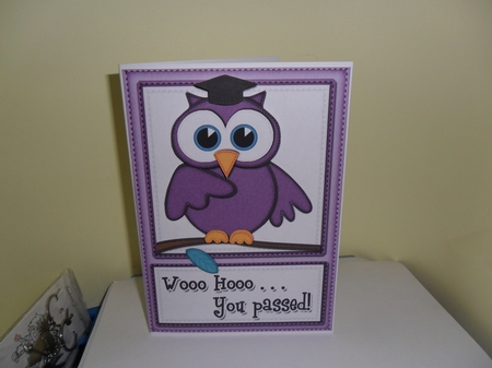 A5 Wise Owl Exam Congrats Felties Quick Card 3D Decoupage by Nicola Busuttil