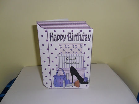 Ladies Shoe and Makeup in Purple Folded Book A4 by Nicola Busuttil