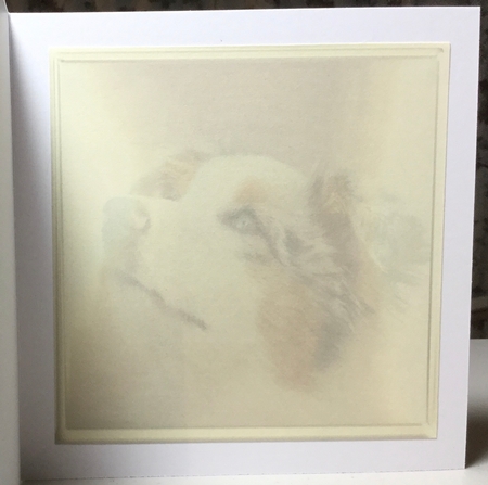 dog in a snowdrop by Rachel Capes