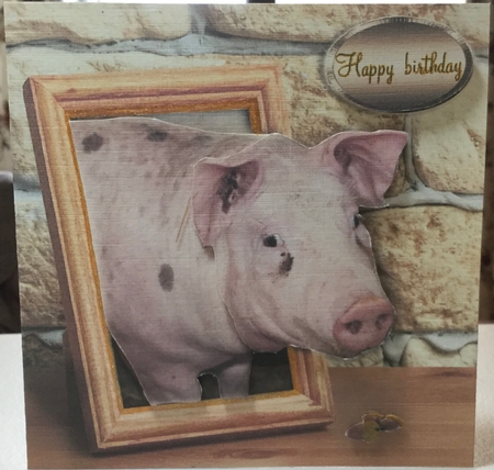 pink pig by Rachel Capes