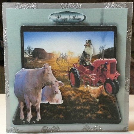 down on the farm by Rachel Capes