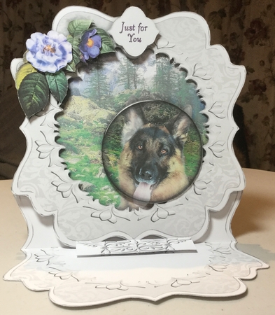 I Spy - Dog by Rachel Capes