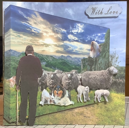 moving the sheep by Rachel Capes
