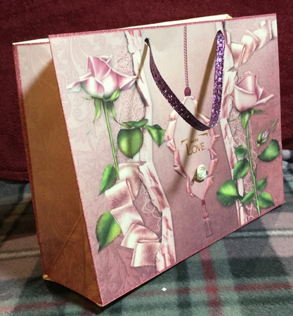 Pink Rosebuds - Large 19x15x6cm Gift Bag by Rachel Capes
