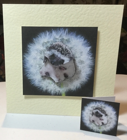 Meet Jed the Cute Baby Hedgehog + Decoupage & Tag by Rachel Capes