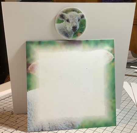 Spring Time - Eostra - Easter - Cute Lamb + Insert & Tag by Rachel Capes