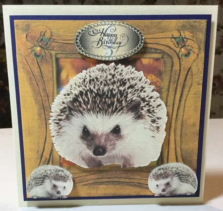 hedgehog by Rachel Capes