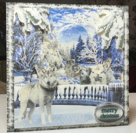 wolves in the snow by Rachel Capes