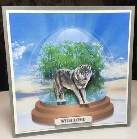 lone wolf by Rachel Capes