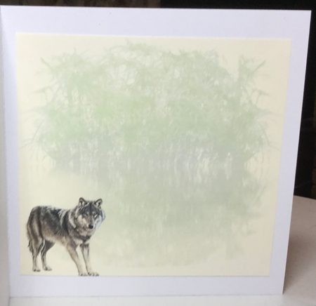 lone wolf by Rachel Capes