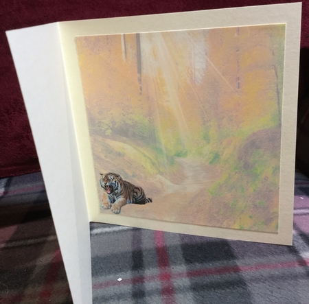 escaping tiger by Rachel Capes